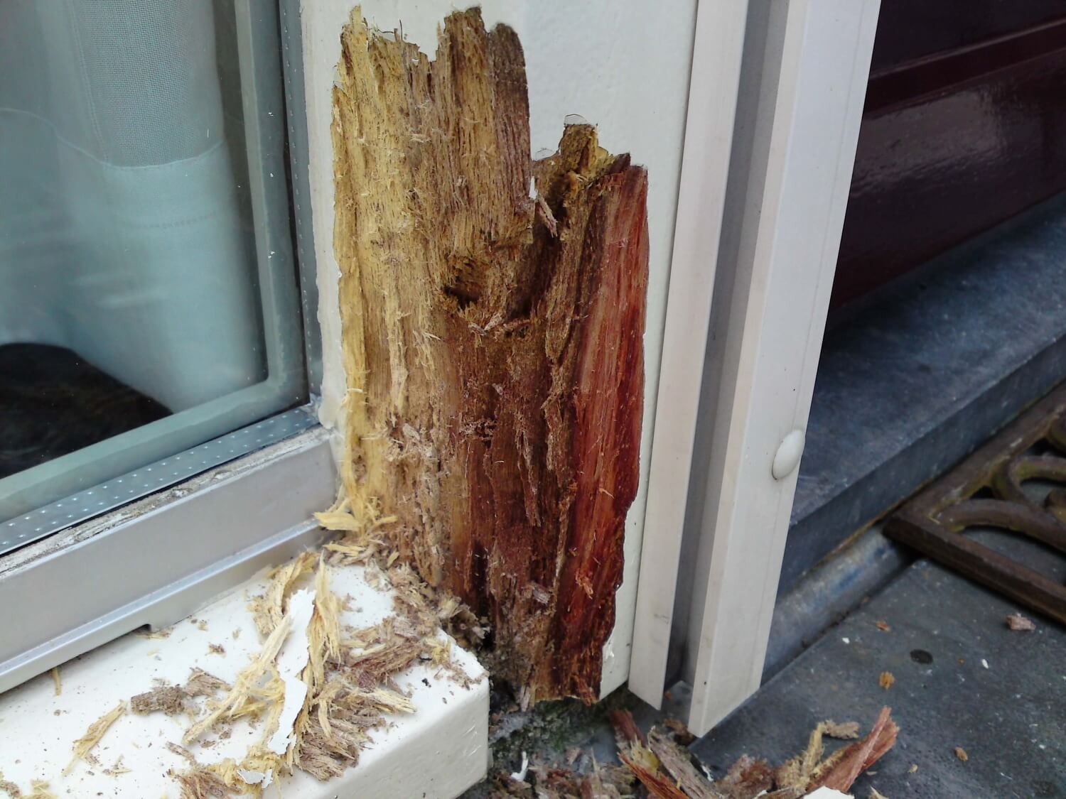 Knipex Kabelschoentang Lemmer - houtrot-in-raamkozijn