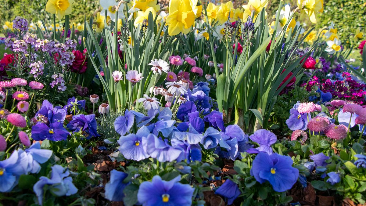 Tuin klaar voor de lente